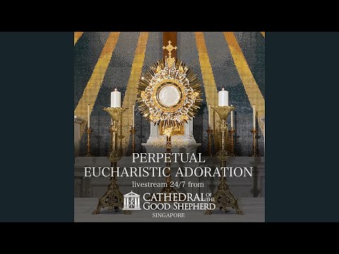 Perpetual (24/7) Eucharistic Adoration prayer mission