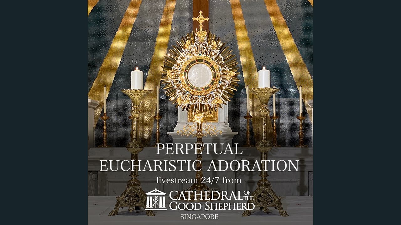 Perpetual (24/7) Eucharistic Adoration prayer mission