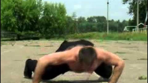 SYSTEMA DVD #5 Hand to Hand Combat -  Internal Wave Energy.flv