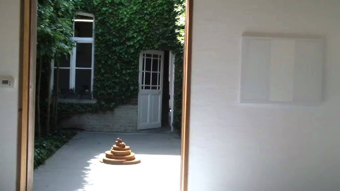 De Ziener