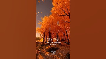 تلاوات حمزة بو ديب {ان الإنسان خلق هلوعا }