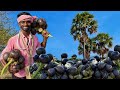 Palm fruit nungu sarbath  kanyakumari summer special drink  time pass cooking