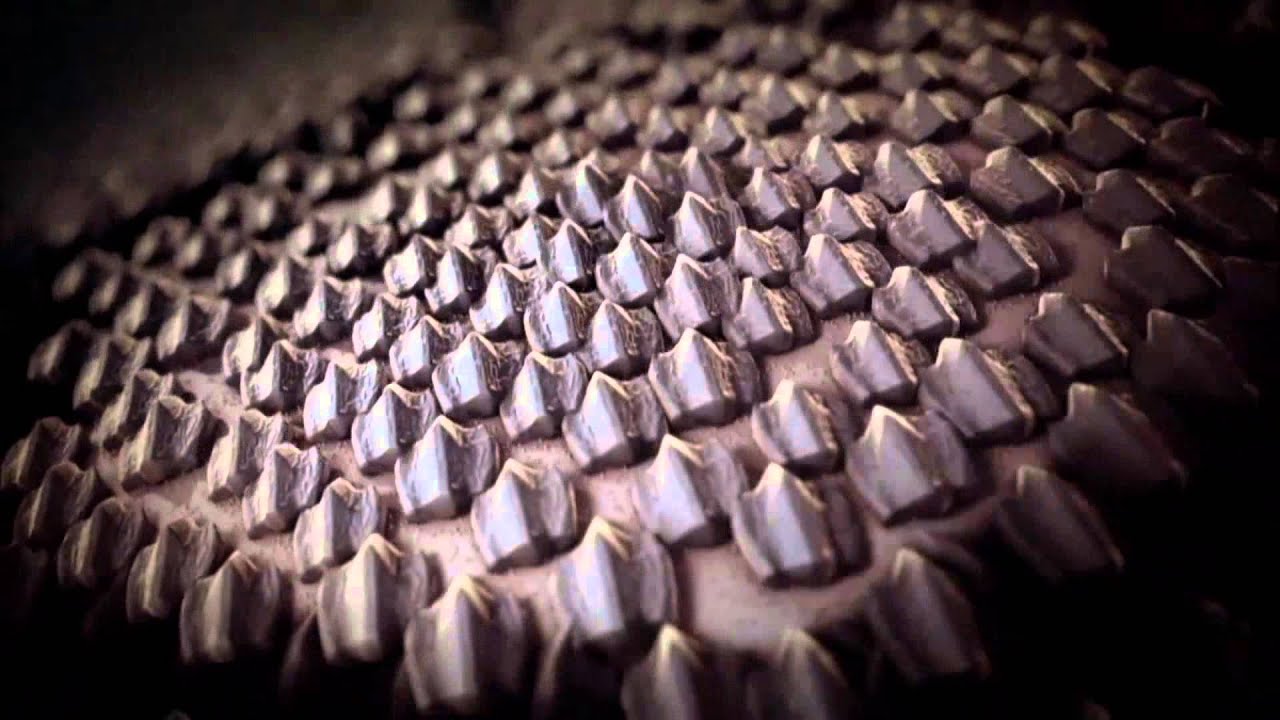 Crysis 2 - Superhero