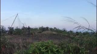 Đánh chim ngói vụ 2025- Chim cuối rồi túc tắc nhặt nhạnh con 1 con 2 vậy😂