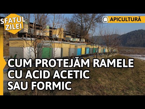 Video: Cum Se Utilizează Acid Acetic