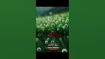 سورة ابراهيم #quran #دعاء #دويتو #صباحالخير #تيك_توك #دعاءمستجاب #duet #حالاتواتس #ترند #لايك