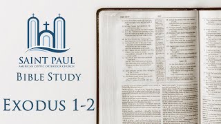 Exodus 1-2 [Israel’s Suffering in Egypt & Moses Is Born] | Bible Study (Fr. Matthias Shehad)