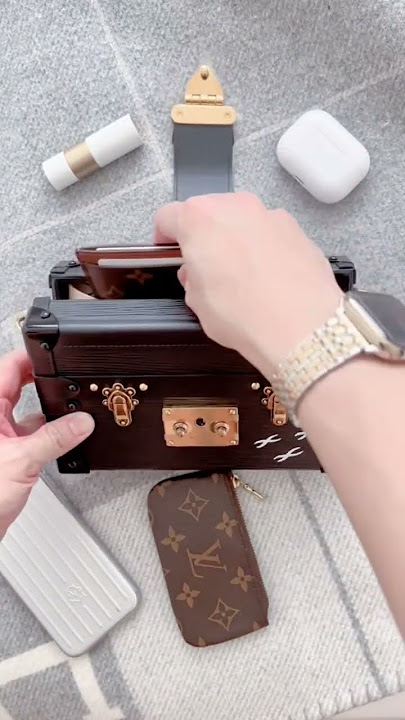 Louis Vuitton Santa Monica Clutch Reveal and Mini Review – PurseBuff