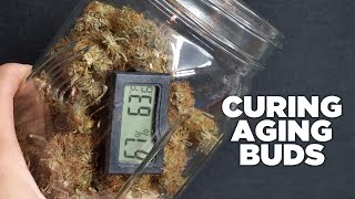 How to Cure Weed like Wine, Aging and Drying your Harvest for THC, Potency and Aroma.