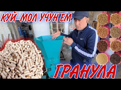 Video: Гранулемалар кетеби?