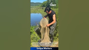 Fish trapping for beginners: a simple guide to fish catching