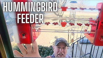 Acrylic Hummingbird Window Feeder with Stainless Steel Perch