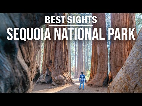 Sequoia National Park Best Sights | Cinematic Video