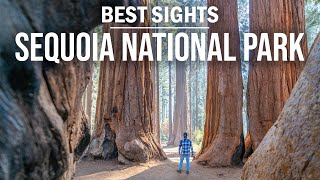 Sequoia National Park Best Sights | Cinematic Video