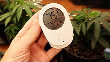 GOVEE WIRELESS THERMOMETER & HYGROMETER FOR YOUR INDOOR GROW ROOM!!