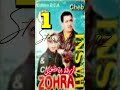 الزرقة انا نبغيك الشاب حسني Rai Cheb Hasni تيك توك أغاني رومانسية Music 