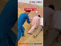 দৌড় এর পাল্লা 😮😲 #shorts #trendingshorts #funny #facts #amazing 😍 joky video