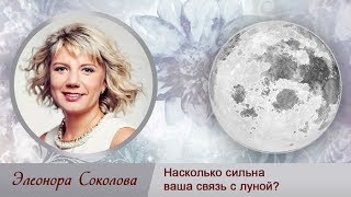 Насколько сильна ваша связь с луной?