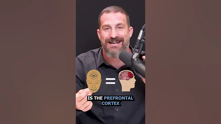 Uncovering the Secrets of Interoceptive Meditation with Andrew Huberman #shorts