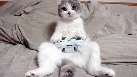 Flash Player Games: Sonny 2 Part 1