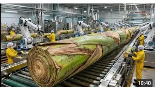 How Banana Plant Waste Is Turned Into Womens Underwear World Wide Waste Process Inside Fectury
