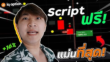 พาไปเทรด Ep 32 : ใช้ Script ฟรี! เทรด IQ Option ใช้แล้วแม่นที่สุด! ทำกำไรตอนเที่ยว 3,000 บาท