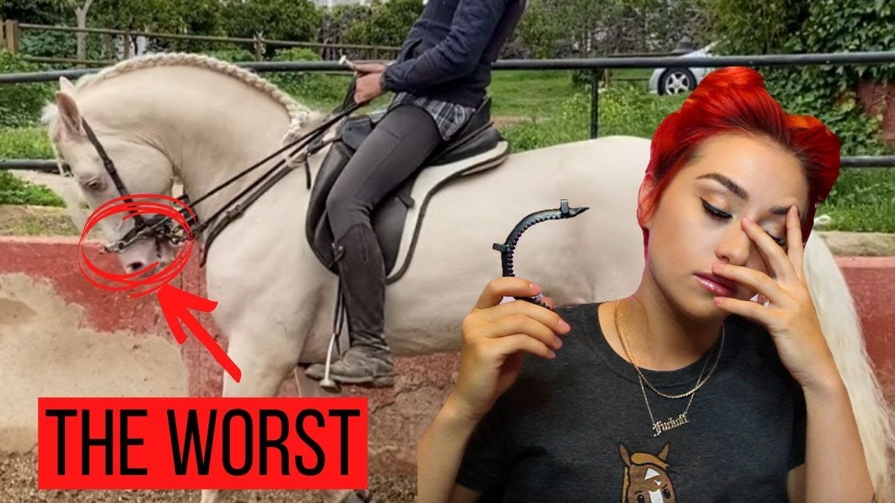 Equestrian Trash - Muserola Metal Nose Band - YouTube
