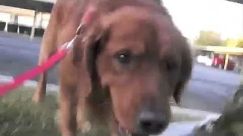 JG Wentworth Shot At The Spot Contest 1