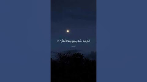 ياسر الدوسري تلاوة خاشعة اللهم بارك