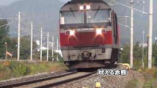 2019秋　第２石狩川橋梁を通過する列車（警笛あり）