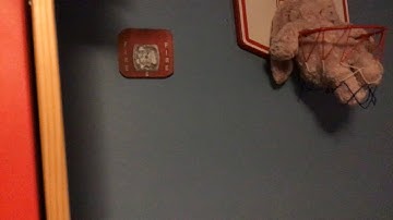 My First Video, System Test 1