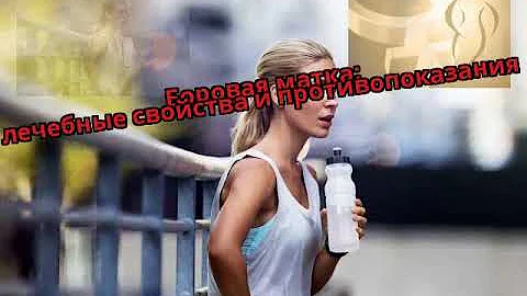 Боровая матка: лечебные свойства и противопоказания