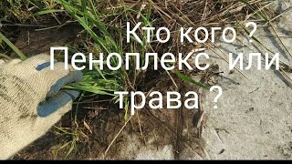 Экструзионный пенополистирол  или трава , кто кого ?