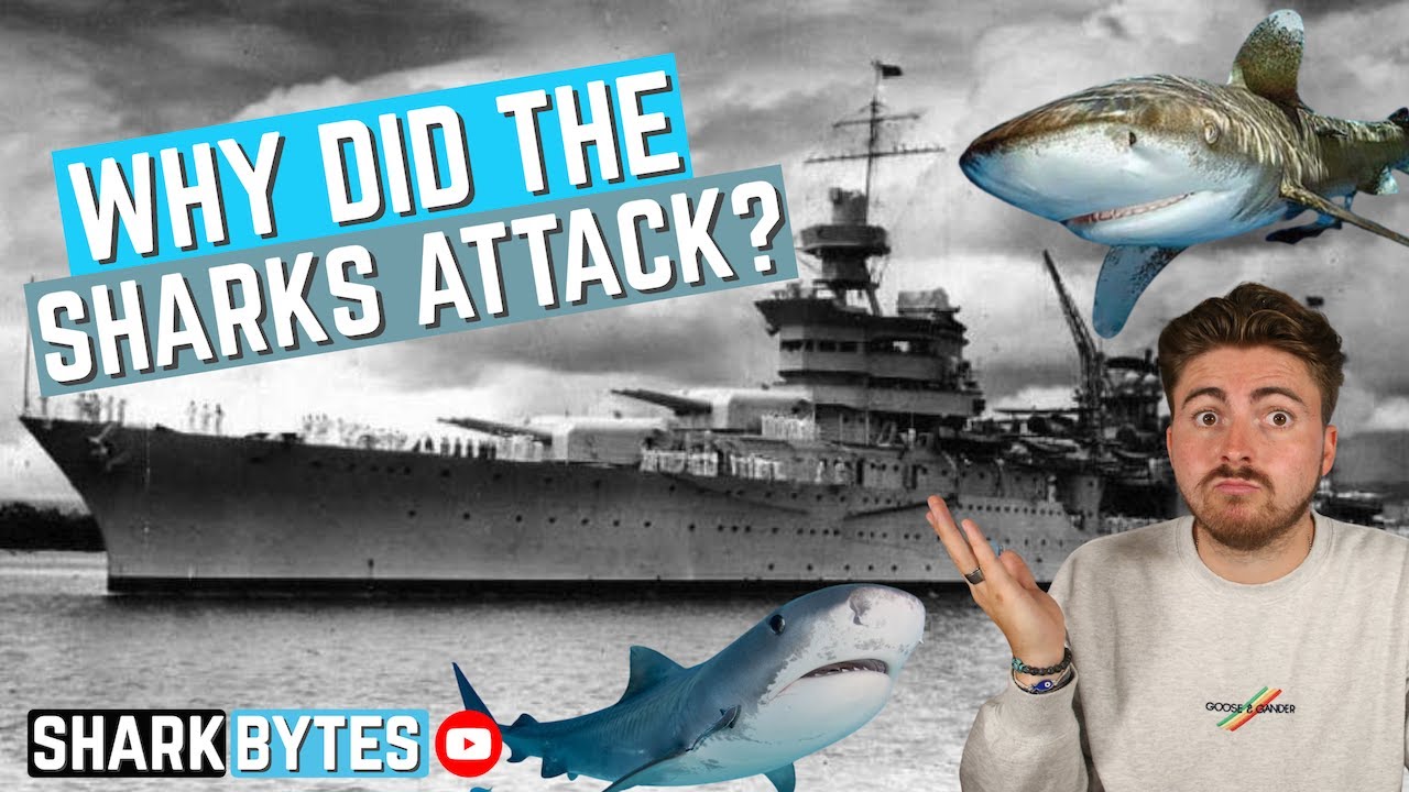 The TRUTH About the USS Indianapolis Shark Attack! YouTube