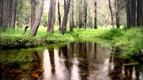 سورة الليل الشيخ علي الحذيفي