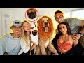 DRESSING OUR PUPPPIES in the FUNNIEST COSTUMES!
