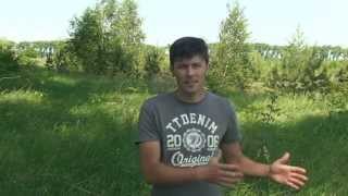 видео Как выбрать земельный участок? | AvtoPremial.ru – информационный портал для автолюбителей