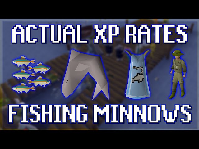 Actual Xp Rates For Fishing Minnows In Osrs You