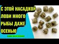 Насадка для рыбалки на ЛЕЩА, КАРАСЯ, КАРПА. Фидер, донка, поплавок.