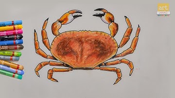 Crab Drawing II How to Draw Crab II Art JanaG