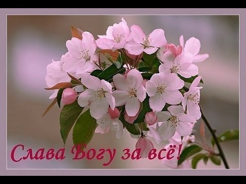 Картинки по запросу слава богу картинки