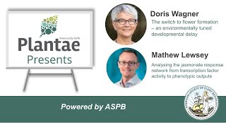 Plantae Presents - Doris Wagner and Mathew Lewsey
