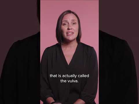 Vulva Vs Vagina By Parents For Parents 