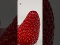 Japan Erdbeere Süß Köstlich Lecker Kurzvideo AnelynAnac Japan Erdbeere Süß Köstlich Lecker Kurzvideo AnelynAnac
