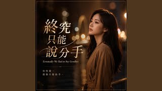 終究只能說分手 - Eventually We Had to Say Goodbye