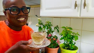 Lantana Tea Helped to lower blood pressure 