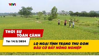 Thời sự Toàn cảnh tối 14/5: Lo ngại thu gom đầu cơ đất nông nghiệp | VTV24