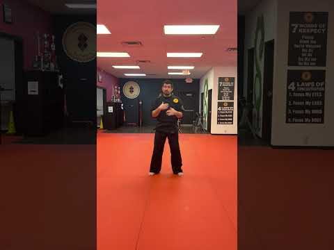Sebastian Mejias martial arts school success story video testimonial