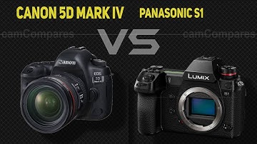 Nikon D780 vs Nikon D7500  [Camera Battle]