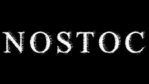 NOSTOC - 1965 Identity